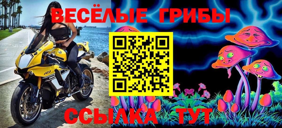 Шали  Псилоцибиновые грибы мицелий  Вход с VPN 